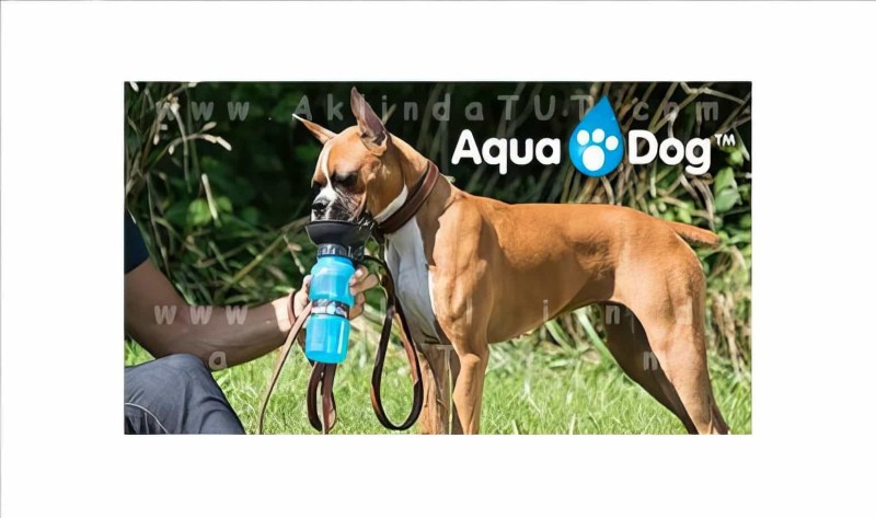 Aqua Dog Köpek Seyahat Su Kabı - Thumbnail