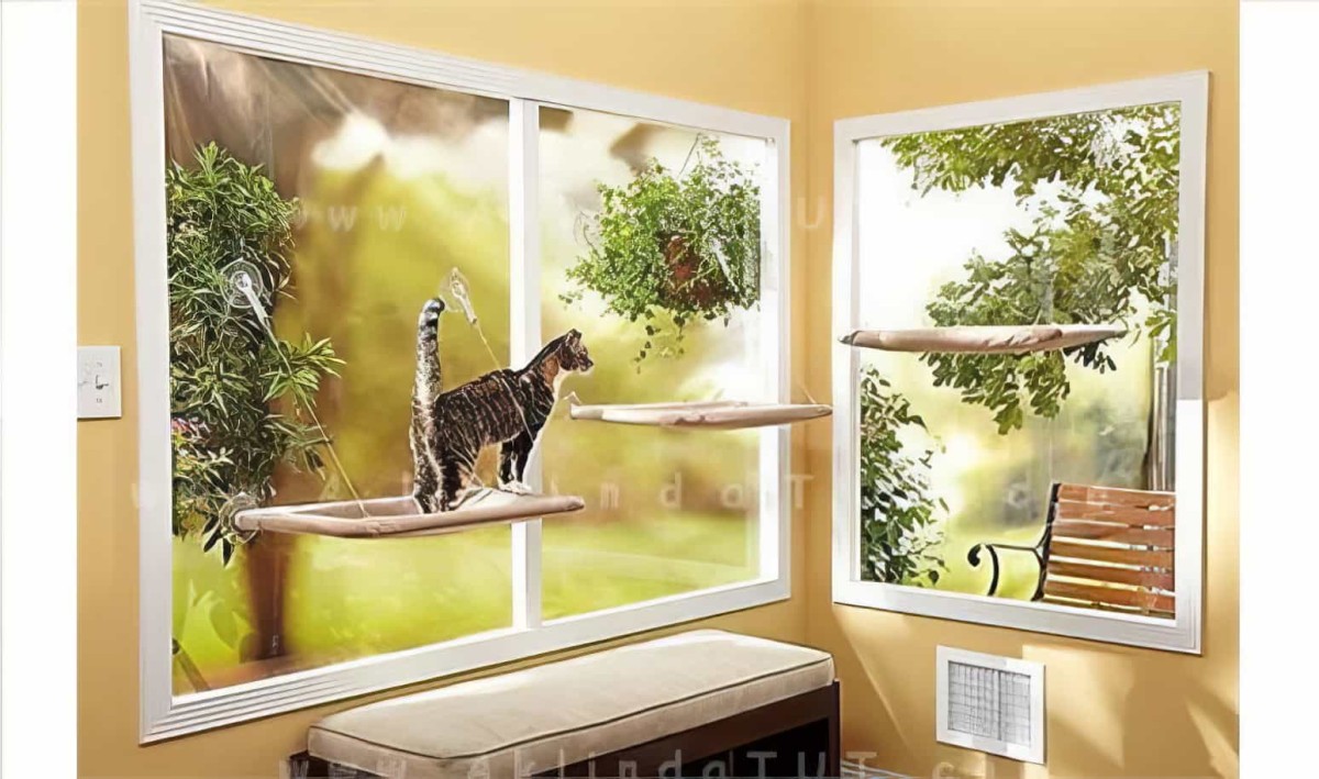 Cama Asılan Kedi Pencere Yatağı Petzoom (özel Güçlü Vantuzlu Model)