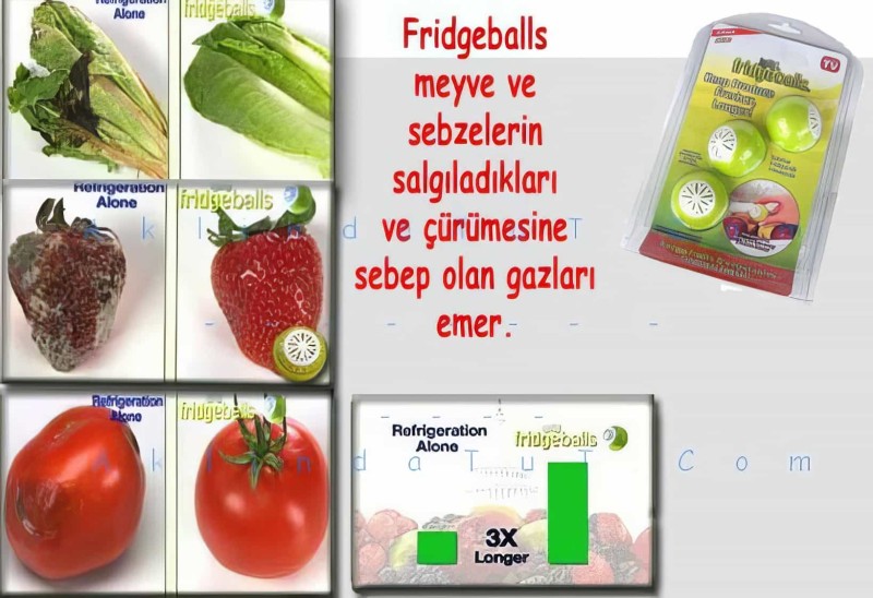  - Fridgeballs Buzdolabı Gıda Tazelik Koruyucu Toplar 3 Adet Bırden