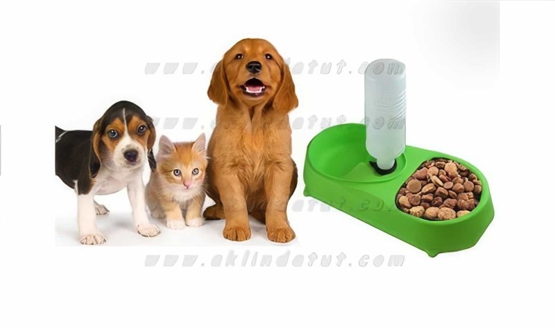 Kedi Köpek Otomatik Su Ve Mama Kabı Finepet Pet Feeder - Thumbnail