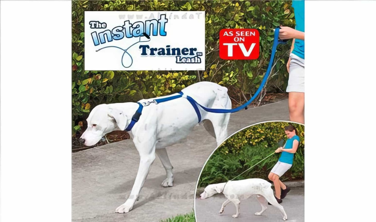 Köpek Eğitim Tasması Instant Trainer Leash
