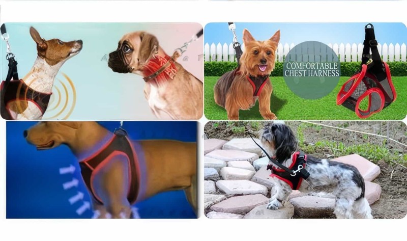 Köpek Gezdirme Vücut Tasması Comfy Control Harness - Thumbnail