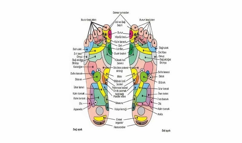  - Refleksoloji Özellikli Masaj Terliği Massage Slipper